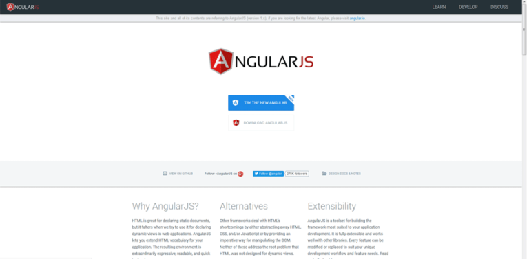 install angular js